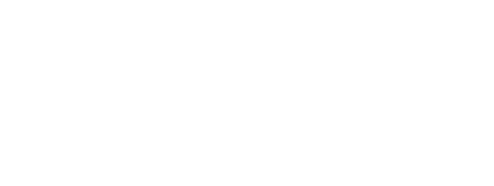 BONFIRE-logo_horizontal-WHT
